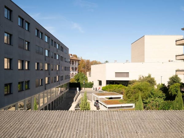 Bureaux spacieux - Carouge GE 6