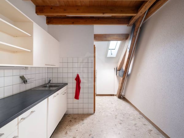 Bureaux spacieux - Carouge GE 4