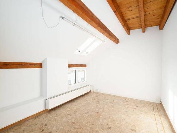 Bureaux spacieux - Carouge GE 5
