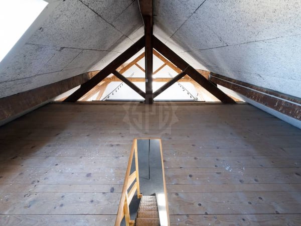 Bureaux spacieux - Carouge GE 3