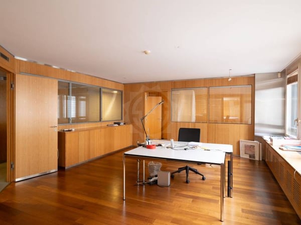 Bureaux spacieux - Genève 6