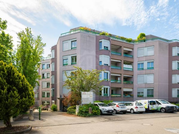 Belle bureaux - Petit-Lancy 1