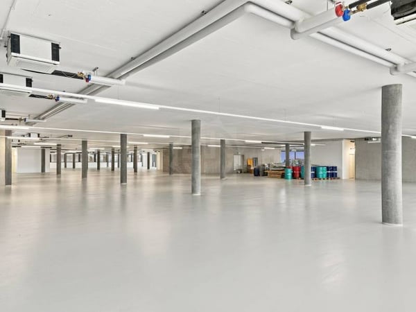 Surface Industrielle spacieuse - Plan-les-Ouates 3