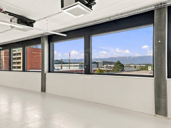 Surface Industrielle spacieuse - Plan-les-Ouates 4