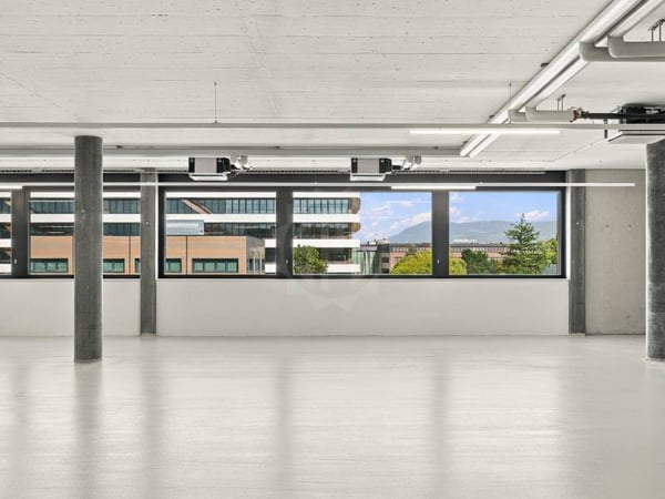 Grande surface industrielle - Plan-les-Ouates 5