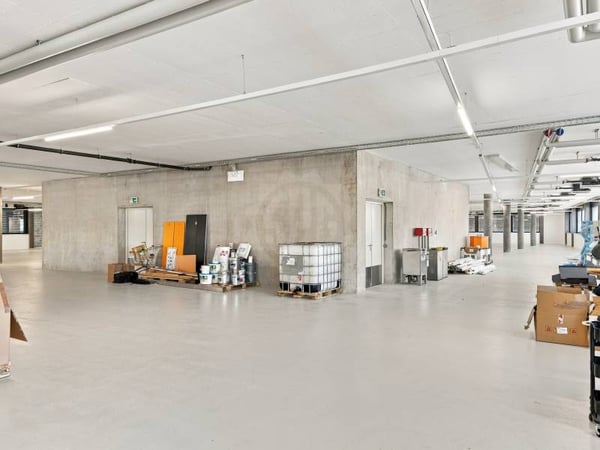 Grande surface industrielle - Plan-les-Ouates 6
