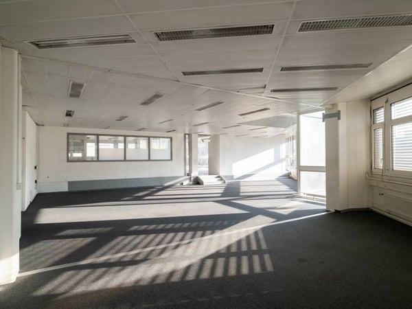 Belles surface industrielle - Grand-Lancy 3