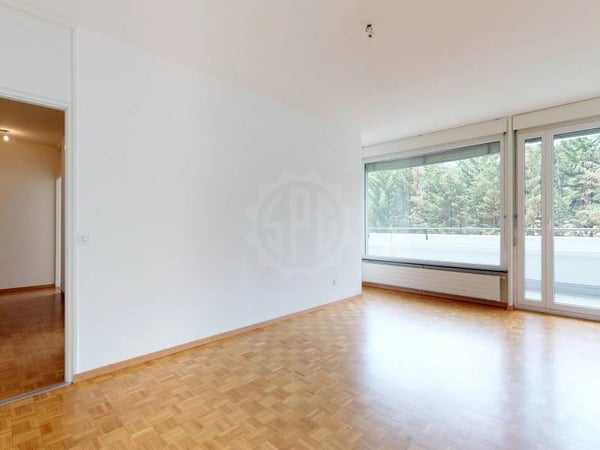 Bel appartement - Genève 6