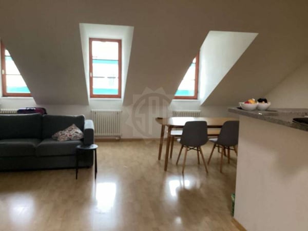 Bel appartement - Genève 20