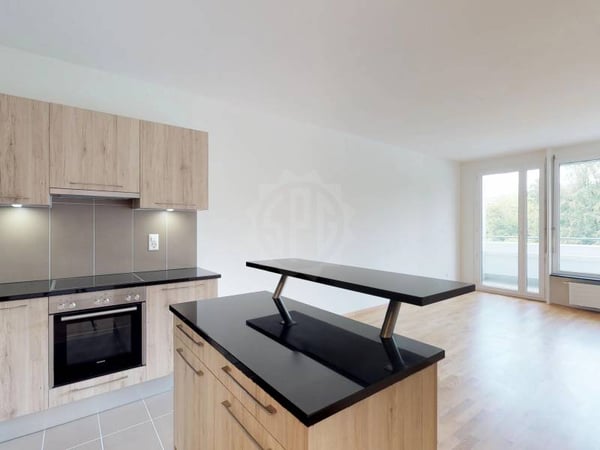 Bel appartement - Genève 4