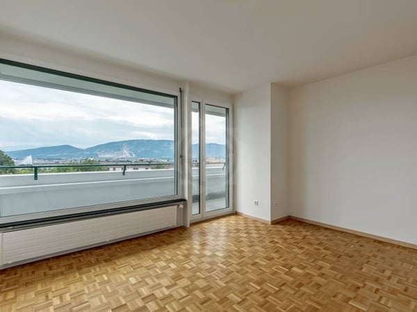 Appartement exceptionnel - Genève 6