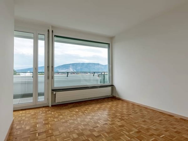 Appartement exceptionnel - Genève 8