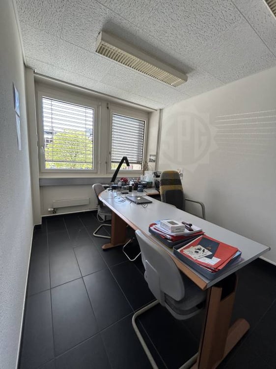 Bureaux lumineux - Chêne-Bourg 1