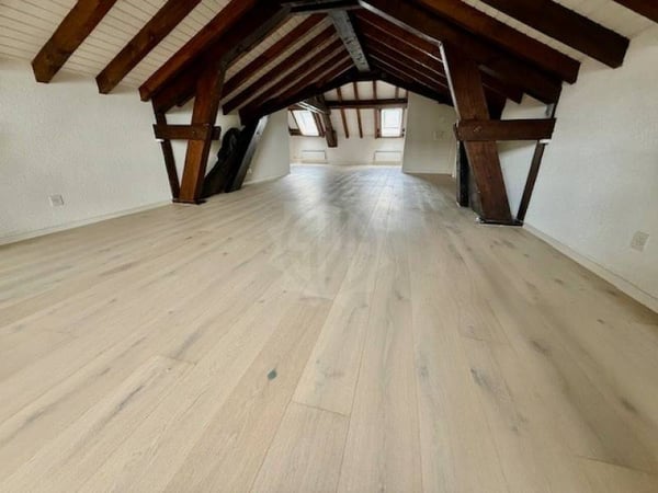 Charmant appartement - La Rippe 6