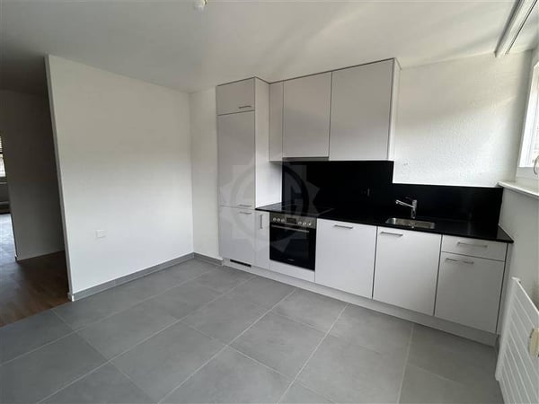 Appartement - Vevey 1