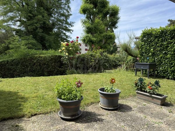 Bel appartement - Yverdon-les-Bains 1