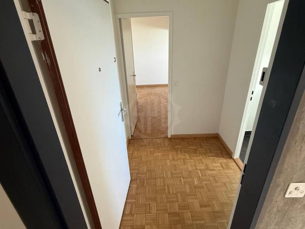 Bel appartement - Vernier 4