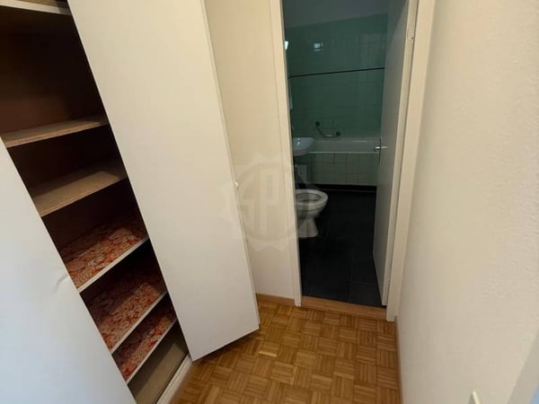Bel appartement - Vernier 7