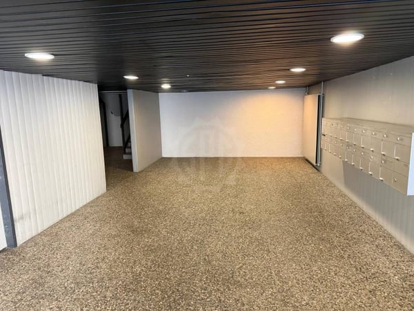 Bel appartement - Vernier 3