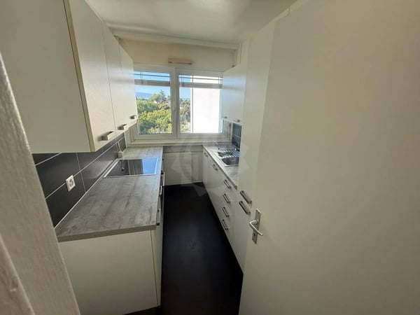 Bel appartement - Vernier 5