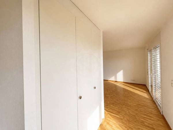 Charmant appartement - Gland 5