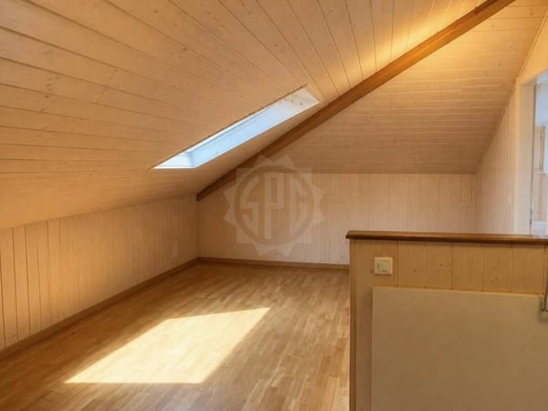 Magnifique appartement - Founex 7