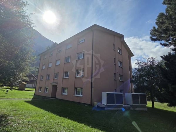 Bel appartement - Lavey-Village 16