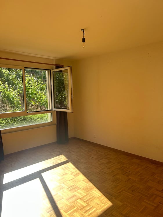 Charmant appartement de 4.5 pièces à Ollon 3