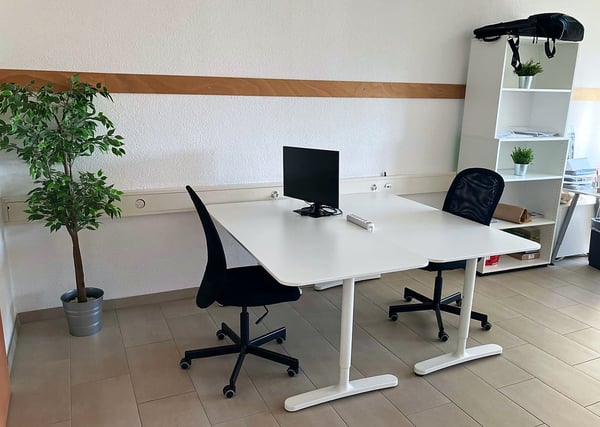 Bureaux lumineux à Morges 2