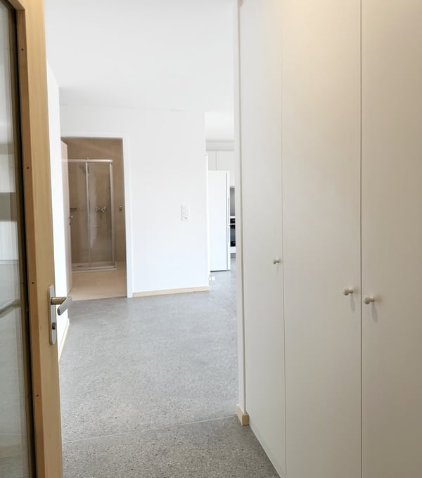 NOUVELLE CONSTRUCTION ! 3.5 pièces de charme 2