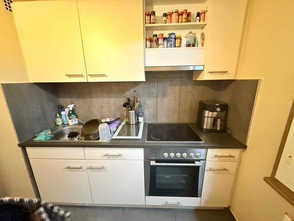 Appartement 3.5 pièces lumineux et au calme à Chêne-Bourg 3