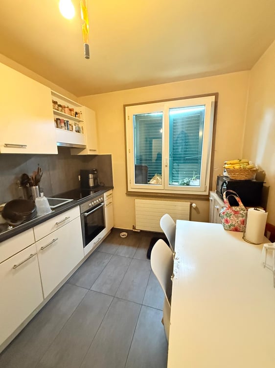 Appartement 3.5 pièces lumineux et au calme à Chêne-Bourg 2