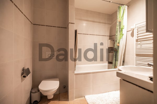 Appartement de 5 pièces avec terrasse 3
