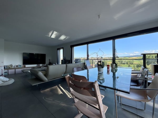 Charmant appartement en attique à Hagenthal Le Bas 21