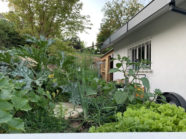 Zu verkaufen: Villa mit Panoramablick auf den Höhen von Hégenheim 12