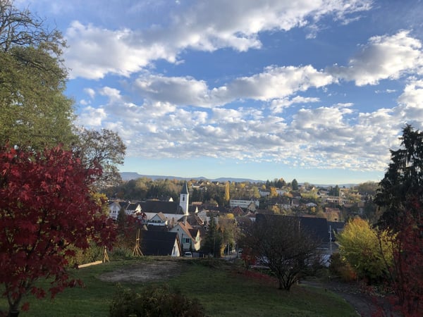 Zu verkaufen: Villa mit Panoramablick auf den Höhen von Hégenheim 15