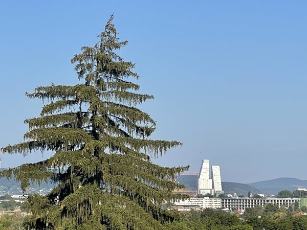 Zu verkaufen: Villa mit Panoramablick auf den Höhen von Hégenheim 5