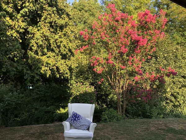 Zu verkaufen: Villa mit Panoramablick auf den Höhen von Hégenheim 14