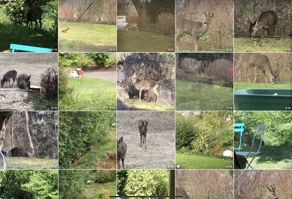 Zu verkaufen: Villa mit Panoramablick auf den Höhen von Hégenheim 9