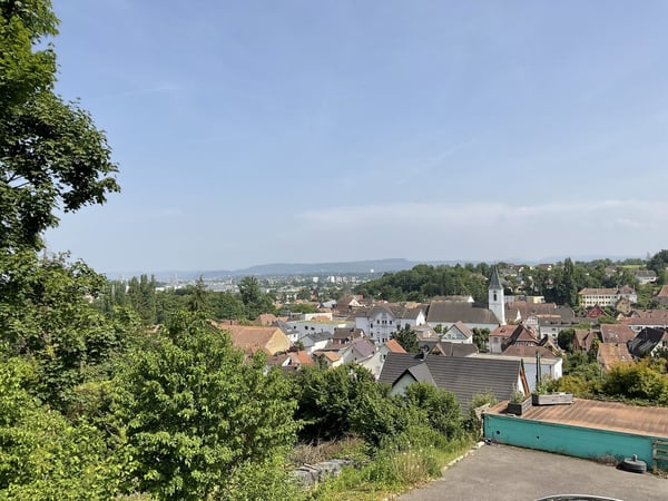 Zu verkaufen: Villa mit Panoramablick auf den Höhen von Hégenheim 48