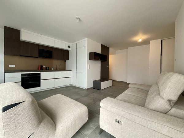 Appartement 1 pièces à Hésingue 4