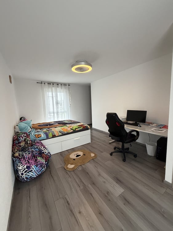 Contemporary Grand-Standing Villa in Hésingue (France) 21