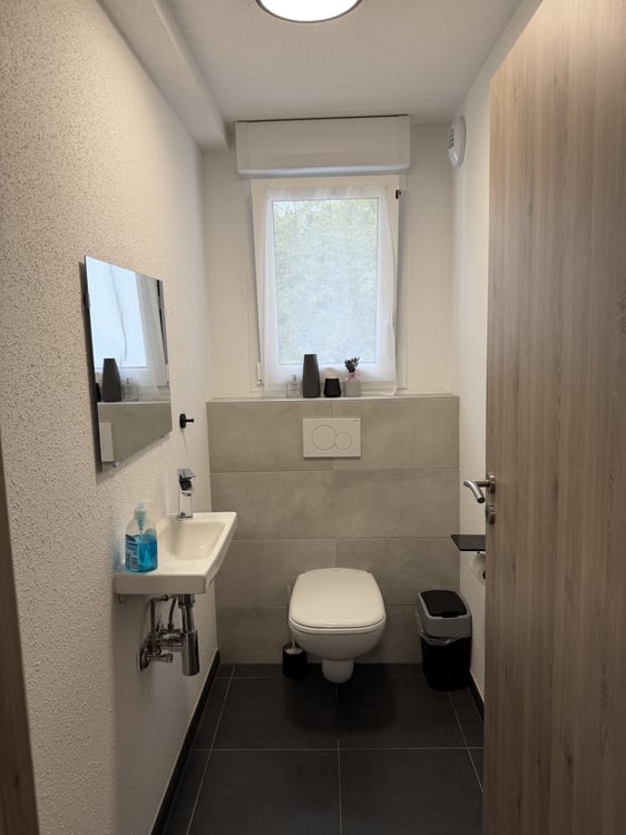 Contemporary Grand-Standing Villa in Hésingue (France) 15