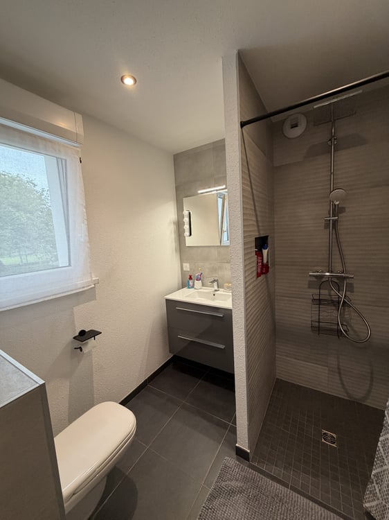 Contemporary Grand-Standing Villa in Hésingue (France) 14