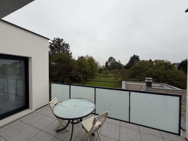 Contemporary Grand-Standing Villa in Hésingue (France) 26