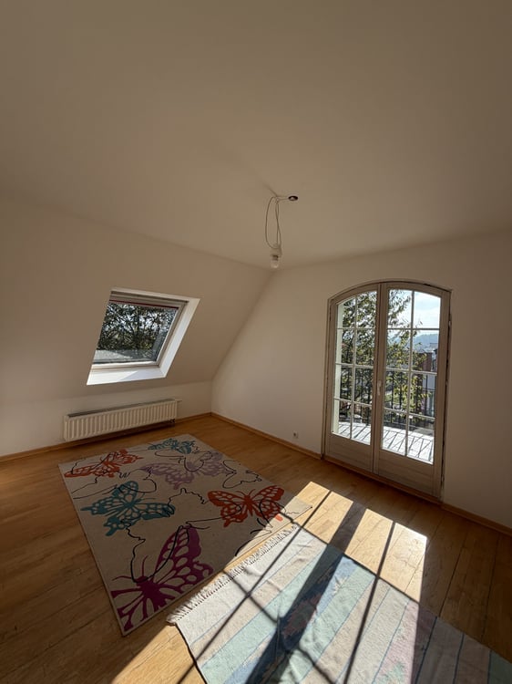 Einfamilienhaus Villa mit Panoramablick auf Deutschland und die Schweiz – Hésingue (Frankreich) 19