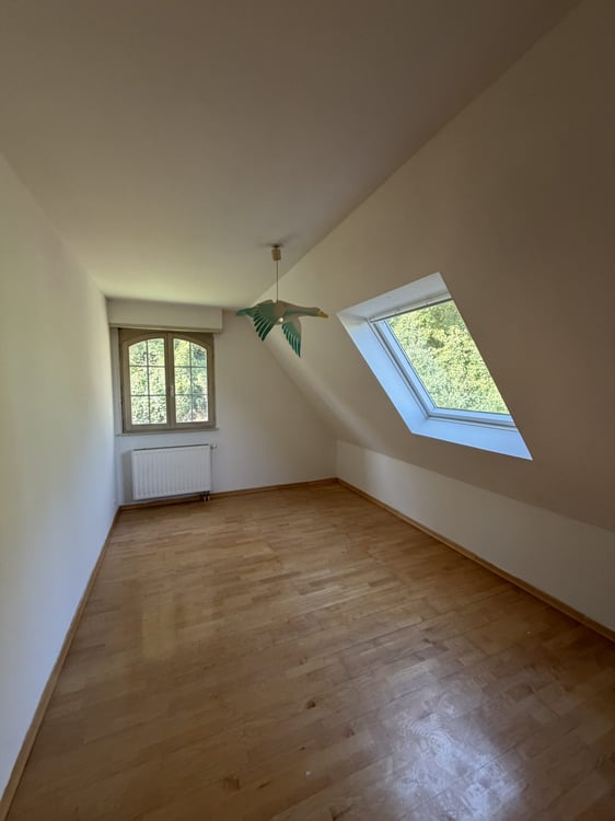 Einfamilienhaus Villa mit Panoramablick auf Deutschland und die Schweiz – Hésingue (Frankreich) 22