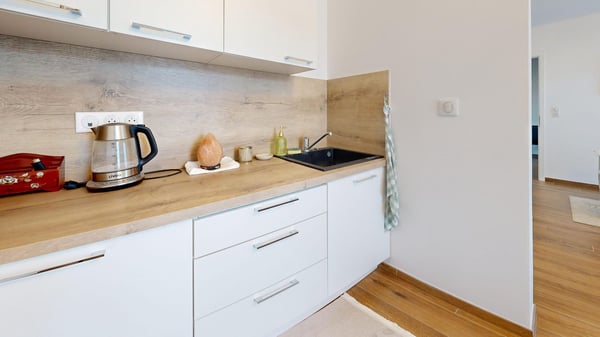 Neubauwohnung im Erdgeschoss mit Garten / gewerbliche Nutzung – Wohnen – gemischte Nutzung 8