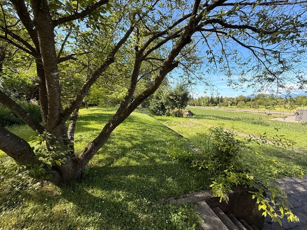 Terrain constructible à Hésingue (68220) 1