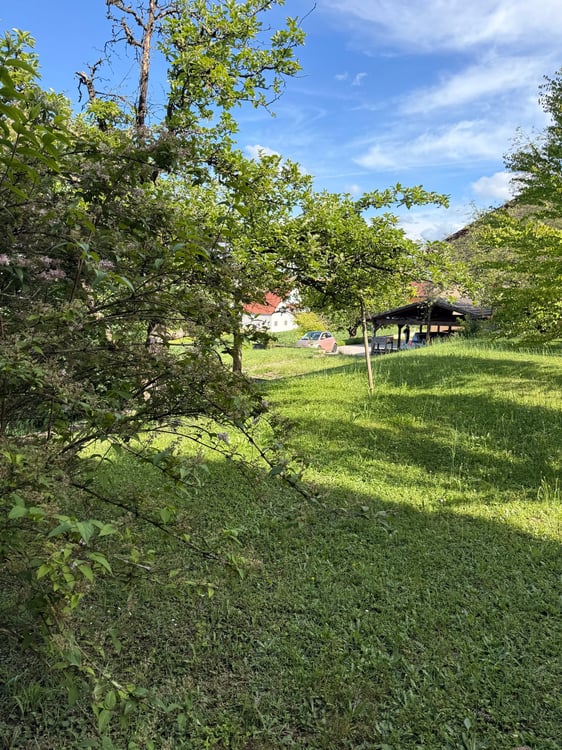 Terrain constructible à Hésingue (68220) 2